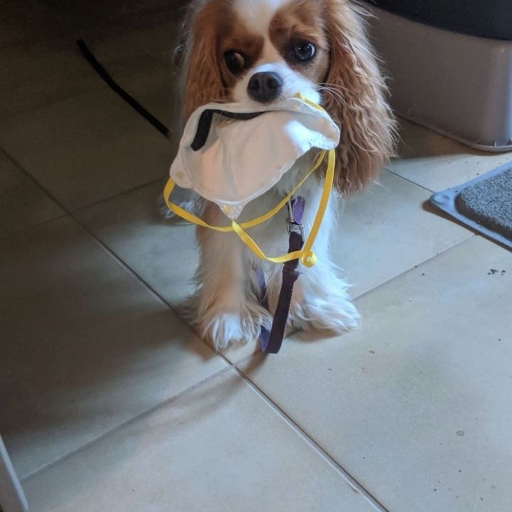 Meet your Posher, Nancy